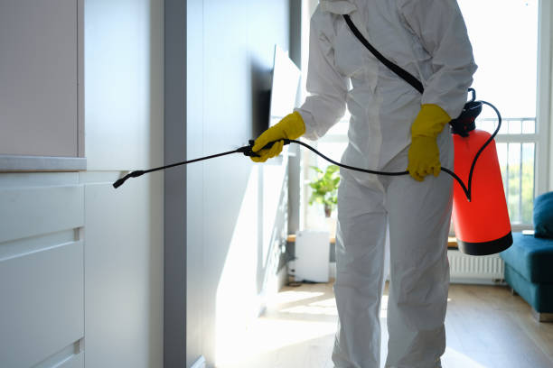 Best Residential Mold Remediation in Napavine, WA