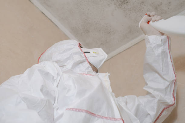 Best Insurance-Related Mold Remediation in Napavine, WA