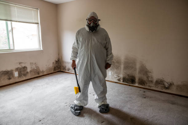 Best Bathroom Mold Remediation in Napavine, WA